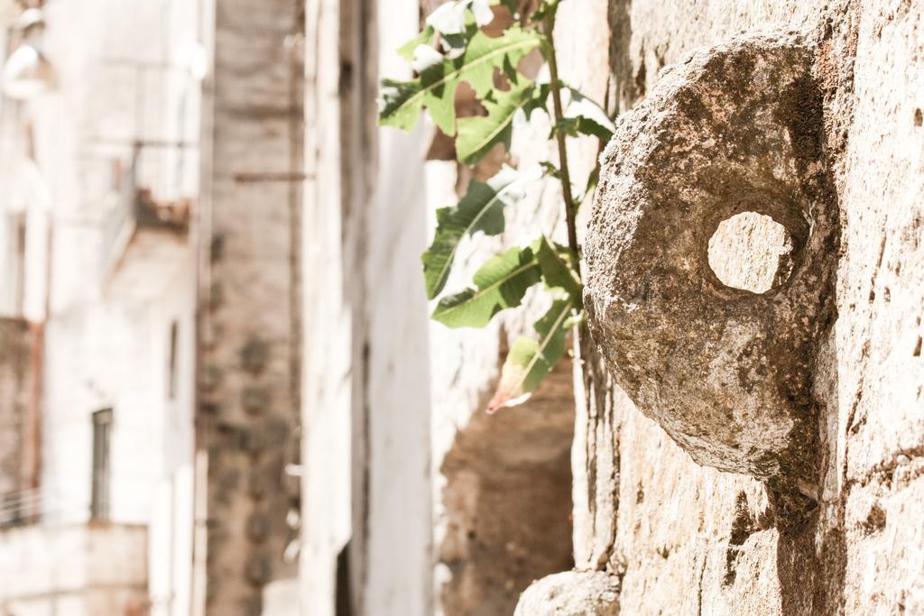 Vila A Casa Di Rosa Matera Pokoj fotografie